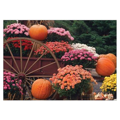 Fall Personalized Postcards, Wagon With Pumpkins, 6" W x 4-1/4" H, 100/Pkg