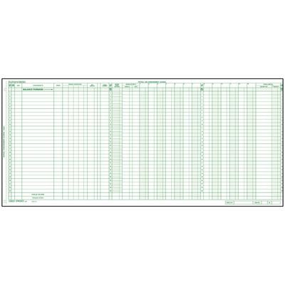 Safeguard Compatible Compact Dual Purpose Journal Sheets, 24-1/8" W x 11" H, 15/Pkg