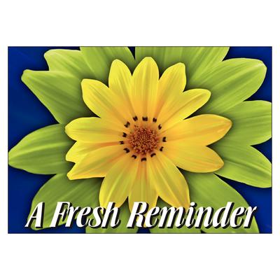 Floral Personalized Postcards, A Fresh Reminder Colorful Flower, 6" W x 4-1/4" H, 100/Pkg