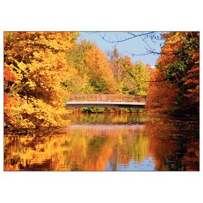 Fall 4-Up Laser Postcards, Autumn Bridge, 5-1/2" W x 4-1/4" H, 100/Pkg