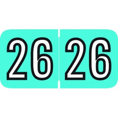 Amerifile 2026 Aging Labels, 1-1/2"W x 3/4"H, Light Blue/White, 500/Roll