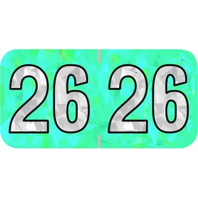2026 Aging Labels - Holographic Series, 1-1/2" W x 3/4" H, Aqua, 500/Roll