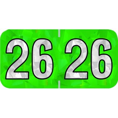 2026 Holographic Aging Labels, 1-1/2" W x 3/4" H, Green/White, 500/Roll