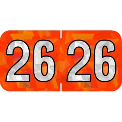 2026 Aging Labels - Holographic Series, 1-1/2" W x 3/4" H, Orange/White, 500/Roll