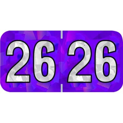 2026 Aging Labels - Holographic Series, 1-1/2" W x 3/4" H, Violet, 500/Roll
