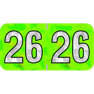 2026 Aging Labels - Holographic Series, 1-1/2" W x 3/4" H, Lime, 500/Roll