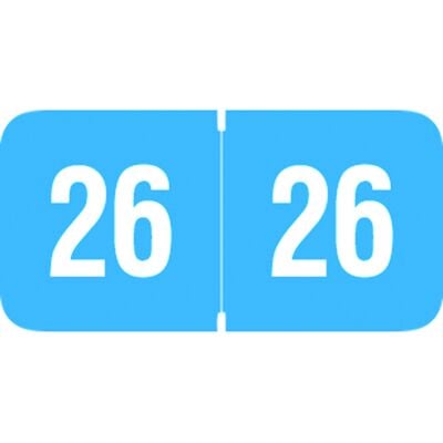 Reynolds & Reynolds Compatible Yearly Aging Labels, 1-1/2" W x 3/4" H, Light Blue/White, 500/Roll