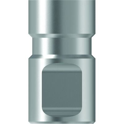 TruLab Analog – Zimmer/Biomet 3i - Certain, 6.0