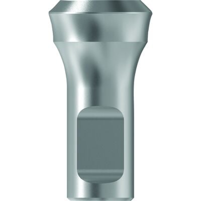 TruAbutment TruLab Analog for Straumann Tissue Level, WN