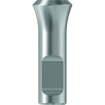 TruLab Analog – Straumann Tissue Level, Regular Neck (RN), 1/Pkg