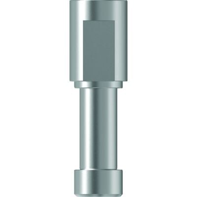 TruDigital Analog – Nobel Biocare NobelReplace RP, Stainless Steel, Reusable, 1/Pkg (828352)