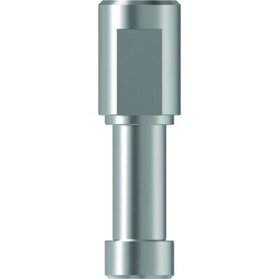 TruAbutment TruDigital Analog for CAMLOG 3.8, Stainless Steel, Reusable, 1/Pkg (828352)