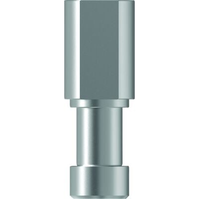 TruAbutment TruDigital Analog – CONELOG 3.8, Stainless Steel, Reusable, 1/Pkg (828352)