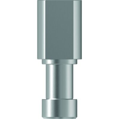 TruAbutment TruDigital Analog – CONELOG 4.3, Stainless Steel, Reusable, 1/Pkg (828352)