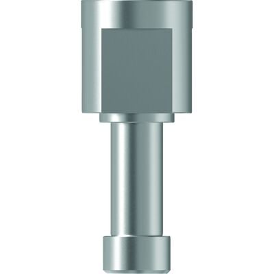 TruAbutment TruDigital Analog – CAMLOG 6.0, Stainless Steel, Reusable, 1/Pkg (828352)