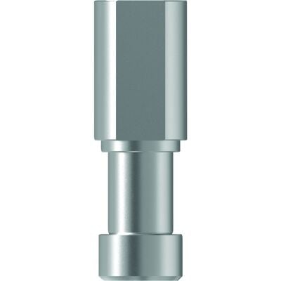 TruDigital Analog – Neoss Proactive - Straight, 3.25 (828352)