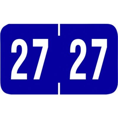 2027 Tab Compatible Aging Labels, Purple/White, 1-1/8" W x 1/2" H, 500/Roll