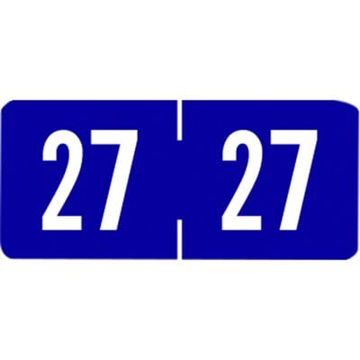 2027 Tab Compatible Aging Labels, Purple/White, 1-1/4" W x 3/4" H, 500/Roll