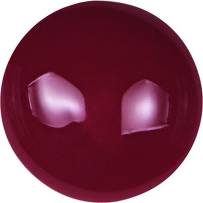Sagemax Paint 3D Gingiva Base 2, 4 g