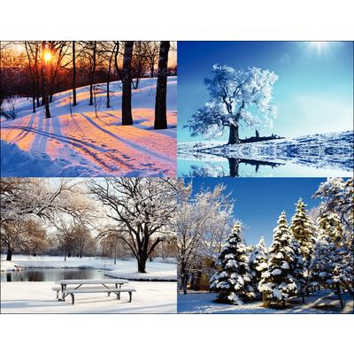 Seasonal Scenes 4-Up Laser Postcard Assortment Pack, Winter Scenes, 5-1/2" W x 4-1/4" H, 100/Pkg