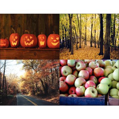 Seasonal Scenes 4-Up Laser Postcard Assortment Pack, Autumn Scenes, 5-1/2" W x 4-1/4" H, 100/Pkg