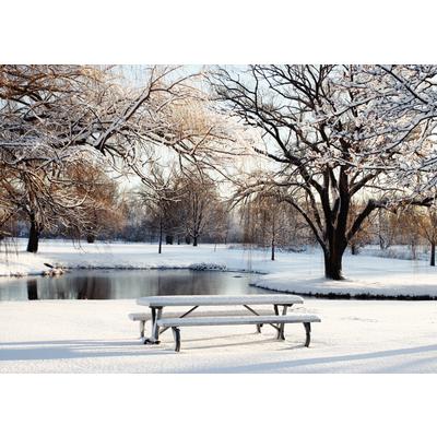 Winter Personalized Postcard, Winter Table Design, 6" W x 4-1/4" H, Full Color, 100/Pkg