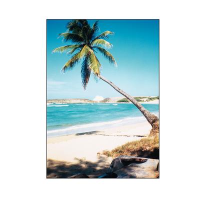 Seasonal Scenes Personalized Postcard Assortment Pack, Summer Scenes, 4-1/4" x 6", Full Color, 1,000/Pkg