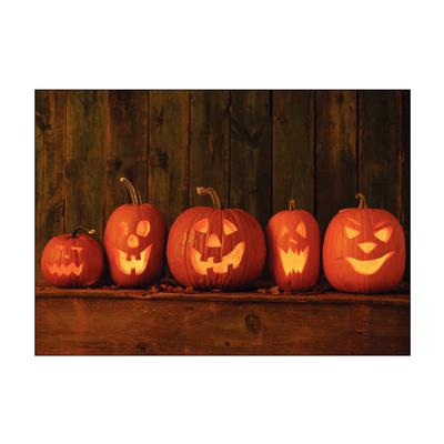 Seasonal Scenes Personalized Postcard Assortment Pack, Autumn Scenes, 6" W x 4-1/4" H, 1,000/Pkg