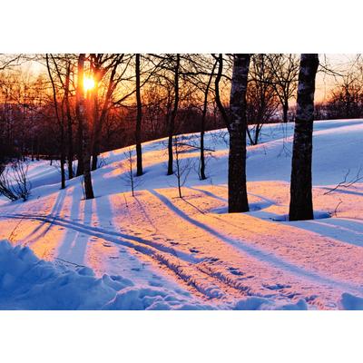 Seasonal Scenes Personalized Postcard Assortment Pack, Winter Scenes, 6" W x 4-1/4" H, 1,000/Pkg