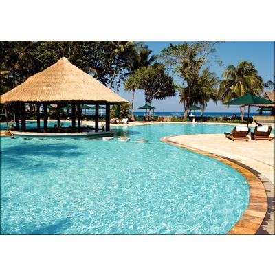 Summer Personalized Postcards, Tropical Pool Design, 6" W x 4-1/4" H, 100/Pkg