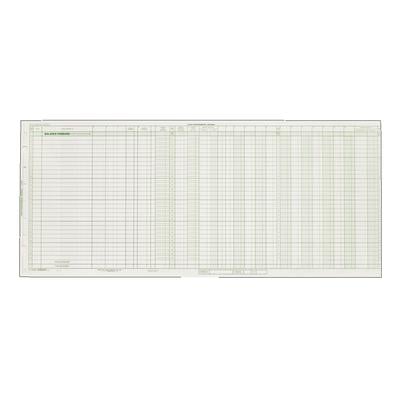 Safeguard Compatible Dual Purpose Journal Sheets, 25-3/8" W x 11" H, 15/Pkg