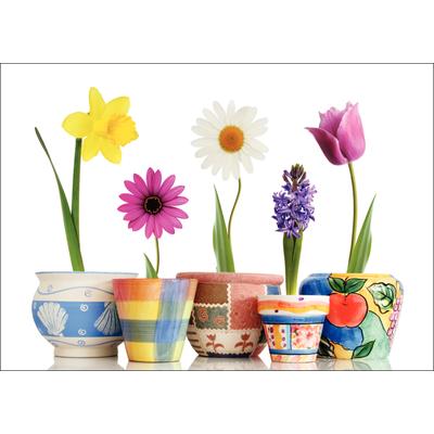 Spring Personalized Postcards, Potted Posies, Full Color, 6" W x 4-1/4" H, 100/Pkg
