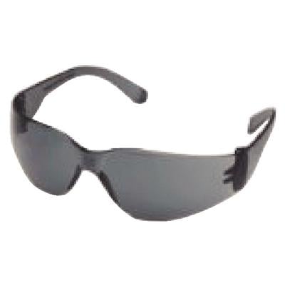 ProVision Econo Wraps Safety Eyewear, Gray Frame/Gray Lens, Anti-Fog, Anti-Scratch, UV Protection, 1/Pkg, 3601G