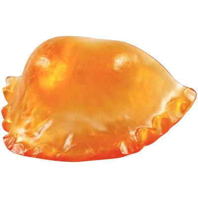 Lang Dental Contemporary Ortho-Jet Orthodontic Resin Powder, Orange, 1 lb Bottle