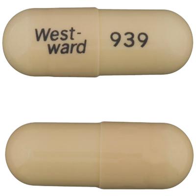 Amoxicillin Capsules, 500 mg, 500 Count Bottle (NDC 00143-9939-05)