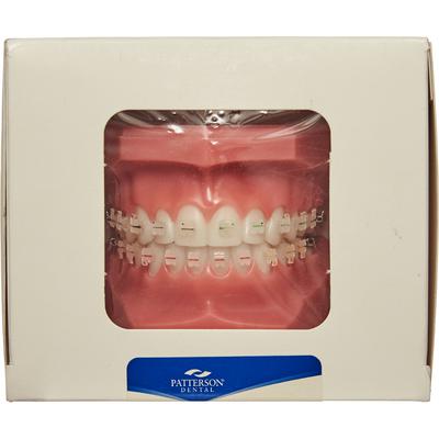 Patterson® Typodont, .022 Slot, With Ceramic Brackets