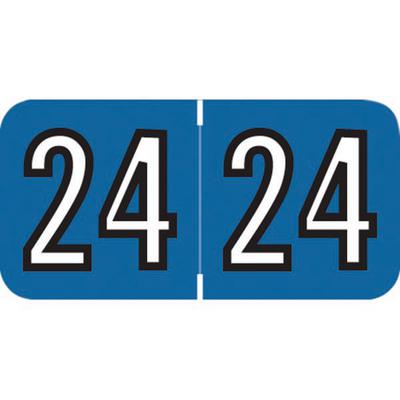 2024 Yearly Aging Labels, Amerifile Compatible, Blue/White, 1-1/2" x 3/4", 500/Roll
