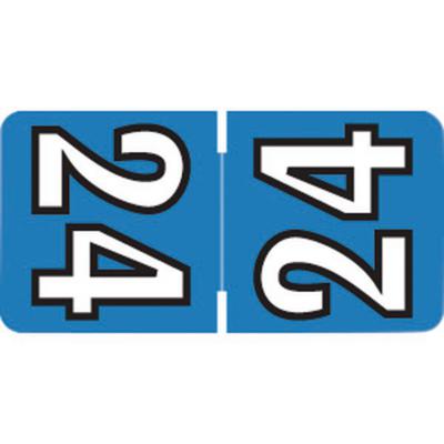 2024 Yearly Aging Labels - Jewel Tone (Mini Series) - Top-Tab, Blue/White, 1" x 1/2", 500/Pkg