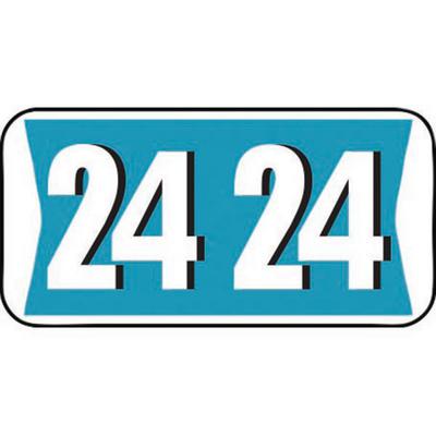 2024 Yearly Aging Labels, Jewel Tone/Jewel Tone II, Teal/White, 1-1/2" x 3/4", 500/Roll