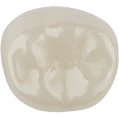 Kids-e-Crown® Zirconia Crowns, Primary Second Molar, Size 2, Tooth EUR2, 1/Pkg