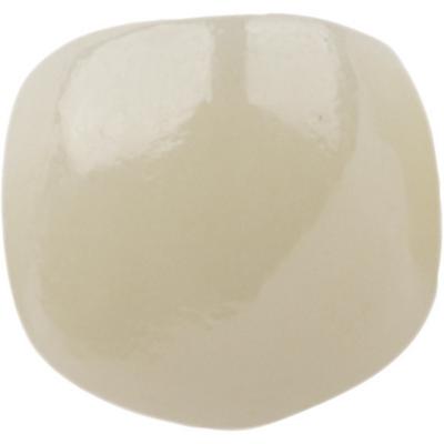 Kids-e-Crown® Zirconia Crowns, Upper Canine - UC1, Size 1, 1/Pkg