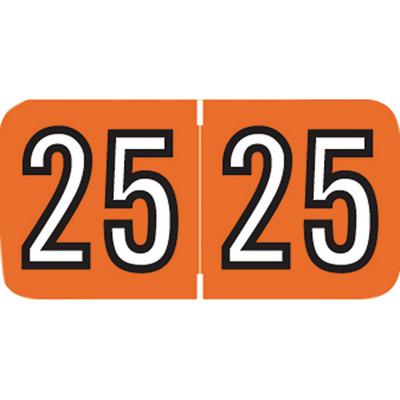 2025 Yearly Aging Labels, Amerifile Compatible, Orange/White, 1-1/2" x 3/4", 500/Roll
