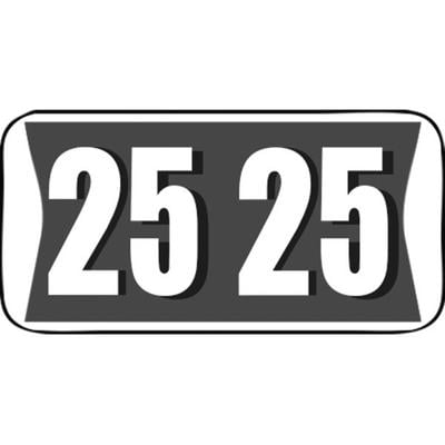 2025 Yearly Aging Labels, Jewel Tone/Jewel Tone II, Purple/White, 1-1/2" x 3/4", 500/Roll