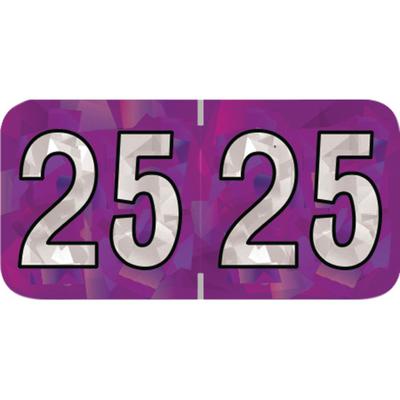 2025 Yearly Aging Labels, Holographic Series, Violet, 1-1/2" x 3/4", 500/Roll