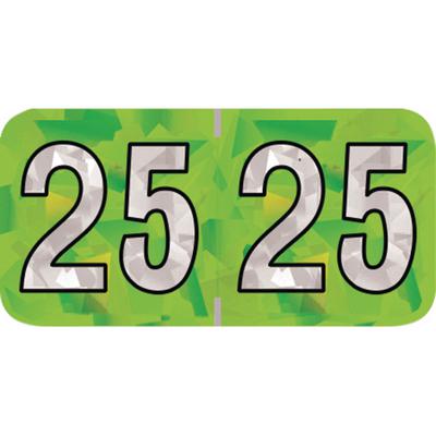 2025 Yearly Aging Labels, Holographic Series, Lime, 1-1/2" x 3/4", 500/Roll