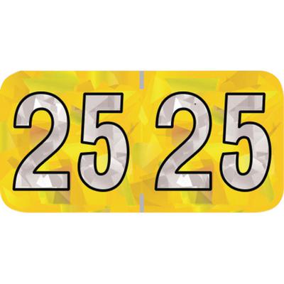 2025 Yearly Aging Labels, Holographic Series, Yellow, 1-1/2" x 3/4", 500/Roll