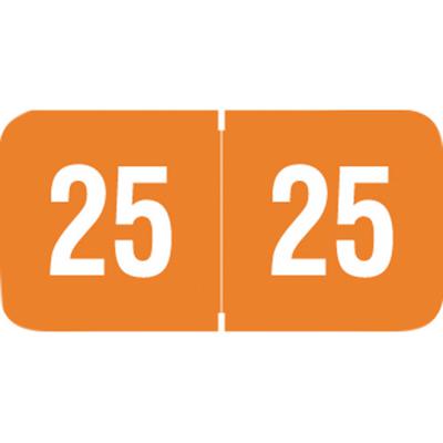 2025 Yearly Aging Labels, Reynolds & Reynolds Compatible, Orange/White, 1-1/2" x 3/4", 500/Roll