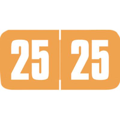 Safeguard Compatible Yearly Aging Labels, Orange/White, 1-1/2" W x 3/4" H, Polylaminated, 500/Roll