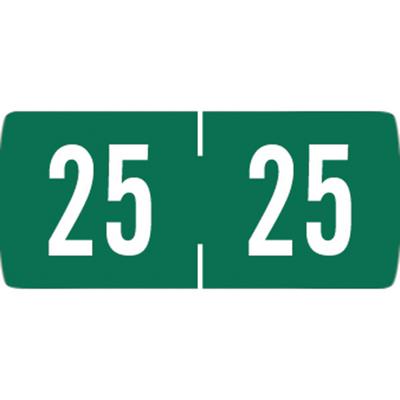 2025 Yearly Aging Labels, Tab Compatible, 1-1/4" x 3/4", Dark Green/White, 500/Roll