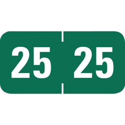 2025 Yearly Aging Labels, Tab Compatible, 1-1/8" x 1/2", Dark Green/White, 500/Roll